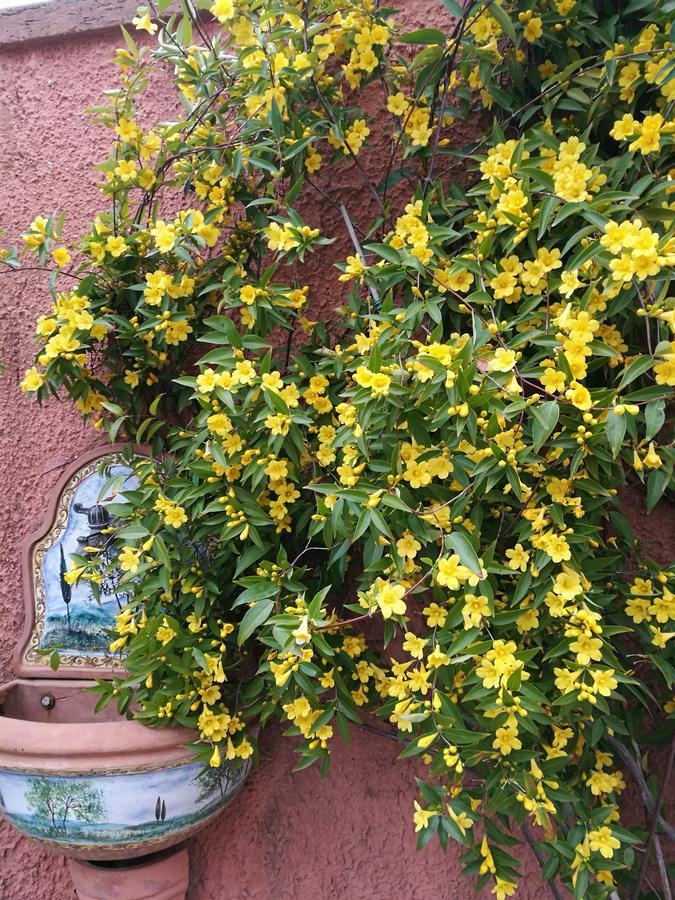 مارينا دي كارّارا Giusy Bed And Breakfast المظهر الخارجي الصورة