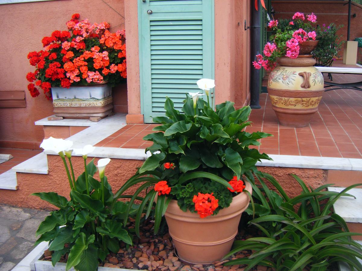 مارينا دي كارّارا Giusy Bed And Breakfast المظهر الخارجي الصورة